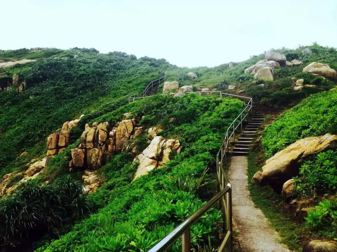 去香港高铁哪里开通了,广深港高铁48分钟带你去香港