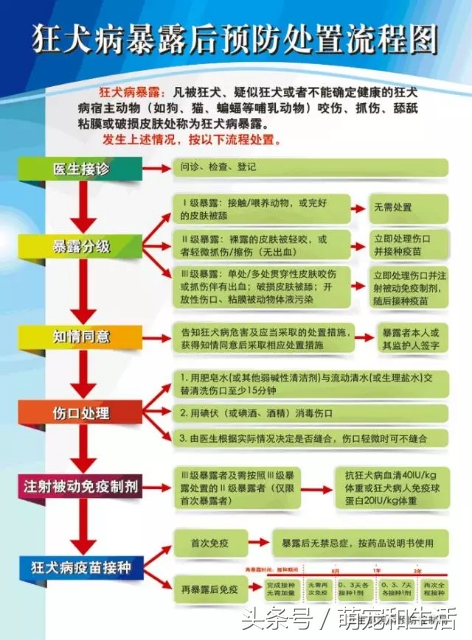 被猫狗抓伤得狂犬病几率有多大,被猫狗抓伤为什么会感染狂犬病
