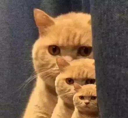 女婴体内被插16根钢针后续,女婴体内被插12根钢针