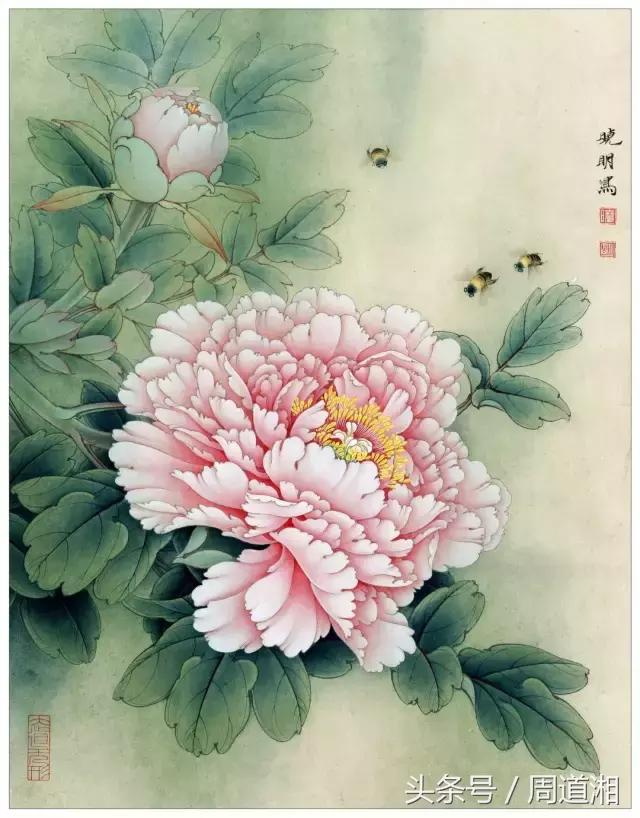 初学者工笔画花鸟画的视频教程,国画初学者入门工笔画画马步骤