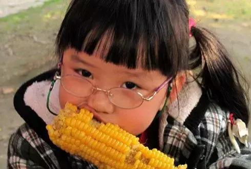 东北特产美食大苞米,安徽特产苞米