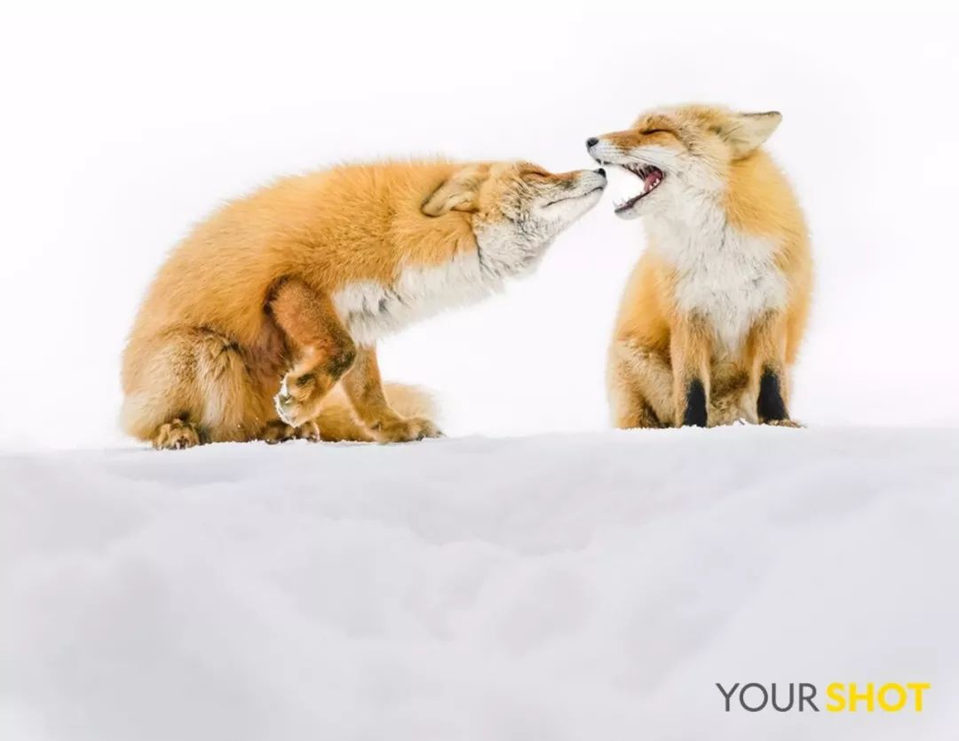 你忙着过七夕,而我用25张图纪念我们共度的这个夏天|夏末特供