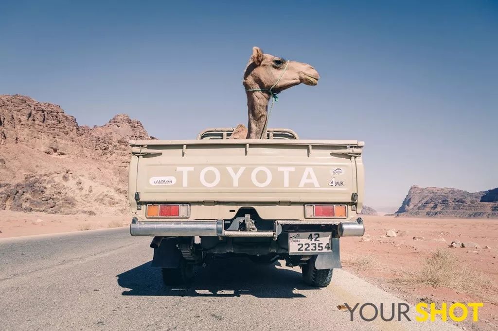 你忙着过七夕,而我用25张图纪念我们共度的这个夏天|夏末特供