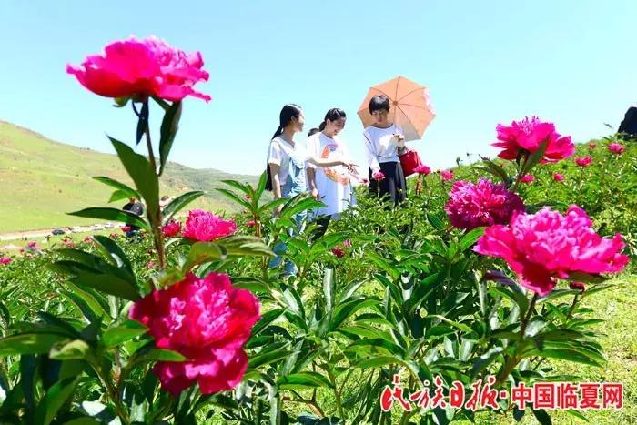 奋进之歌响彻美丽临夏