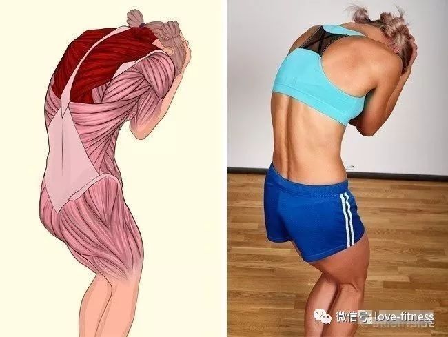 健身拉伸小技巧视频,健身拉伸的15个拉伸动作