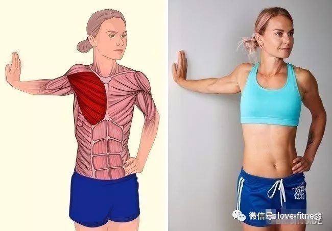 健身拉伸小技巧视频,健身拉伸的15个拉伸动作