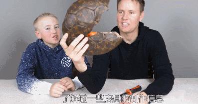 王菲同款回形针耳环,王菲同款别针耳饰