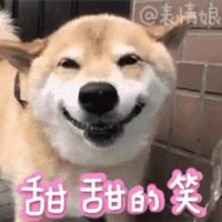 为“角色扮演”副厅长，“的哥”购买“十九大出席证”每天看新闻联播