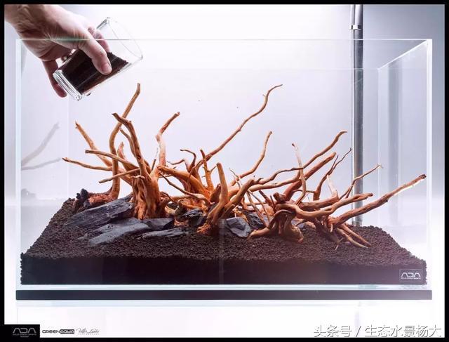 ada草缸造景什么意思,ada造景大赛60缸