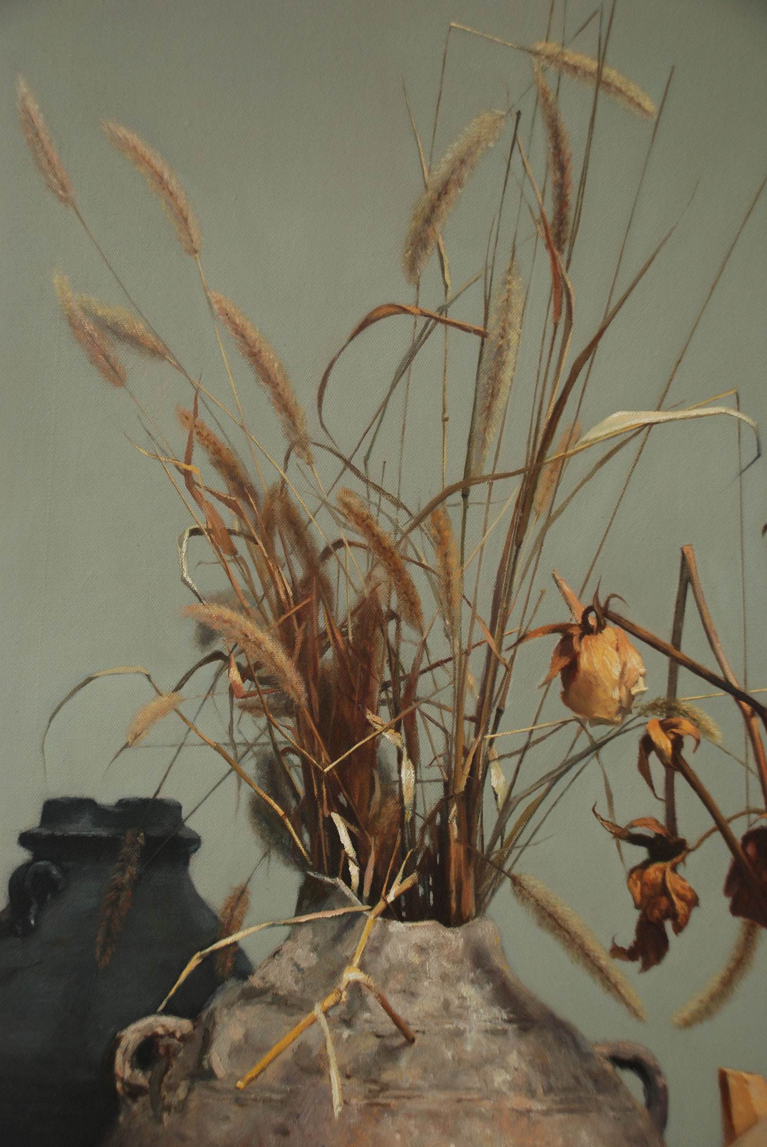 你还记得童年的狗尾草吗,狗尾草小时候