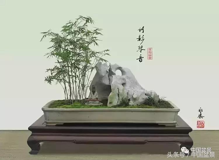 值得收藏的盆景养护常用技法