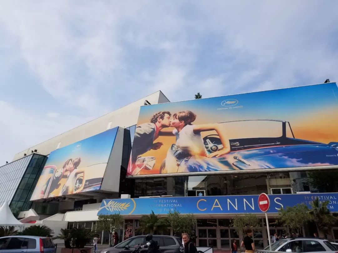 金棕榈是什么档次,金蝉玉叶需要多少钱