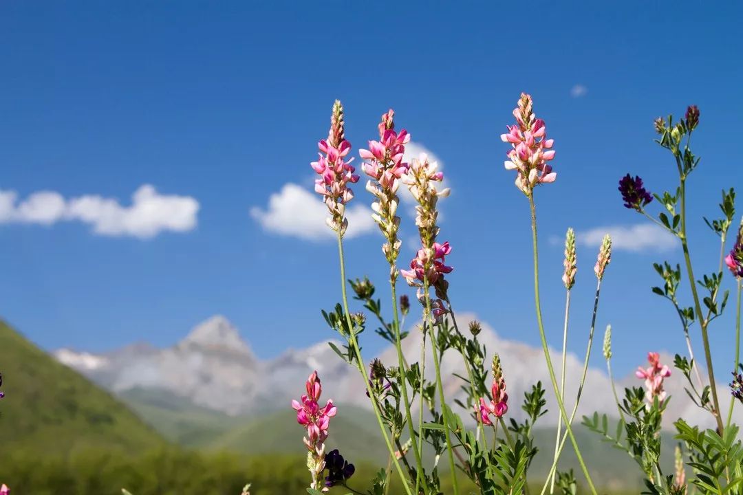 当你一无所有的时候还有人跟着你,当你一无所有的时候的句子