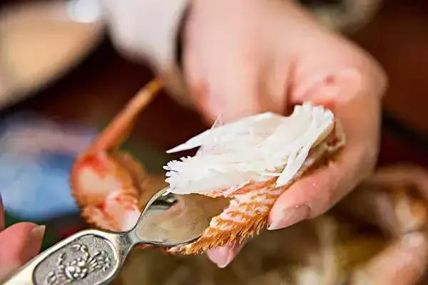 拉斯维加斯，一个你永远无法说No的城市！