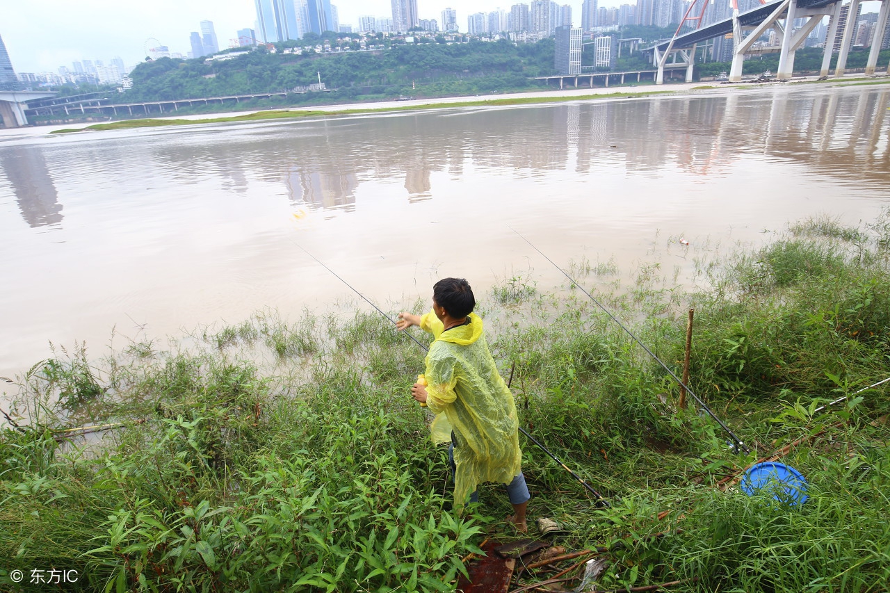 钓鱼的三个技巧是什么,钓鱼的三大技巧视频教学