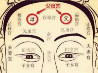 面相十二宫代表身体部位,面相十二宫吉凶图详解