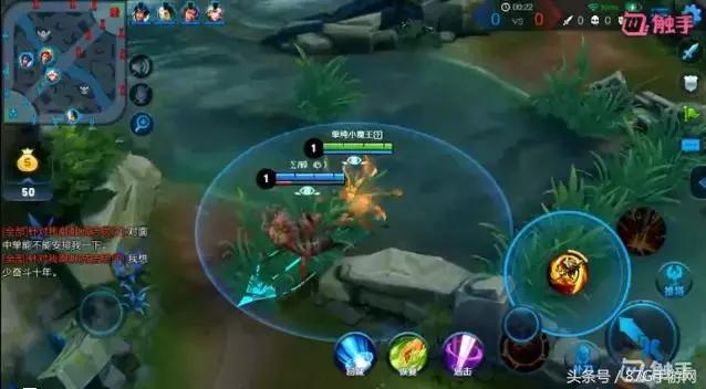 王者荣耀中哪些打野可以carry全场,王者荣耀可以carry全场的打野英雄