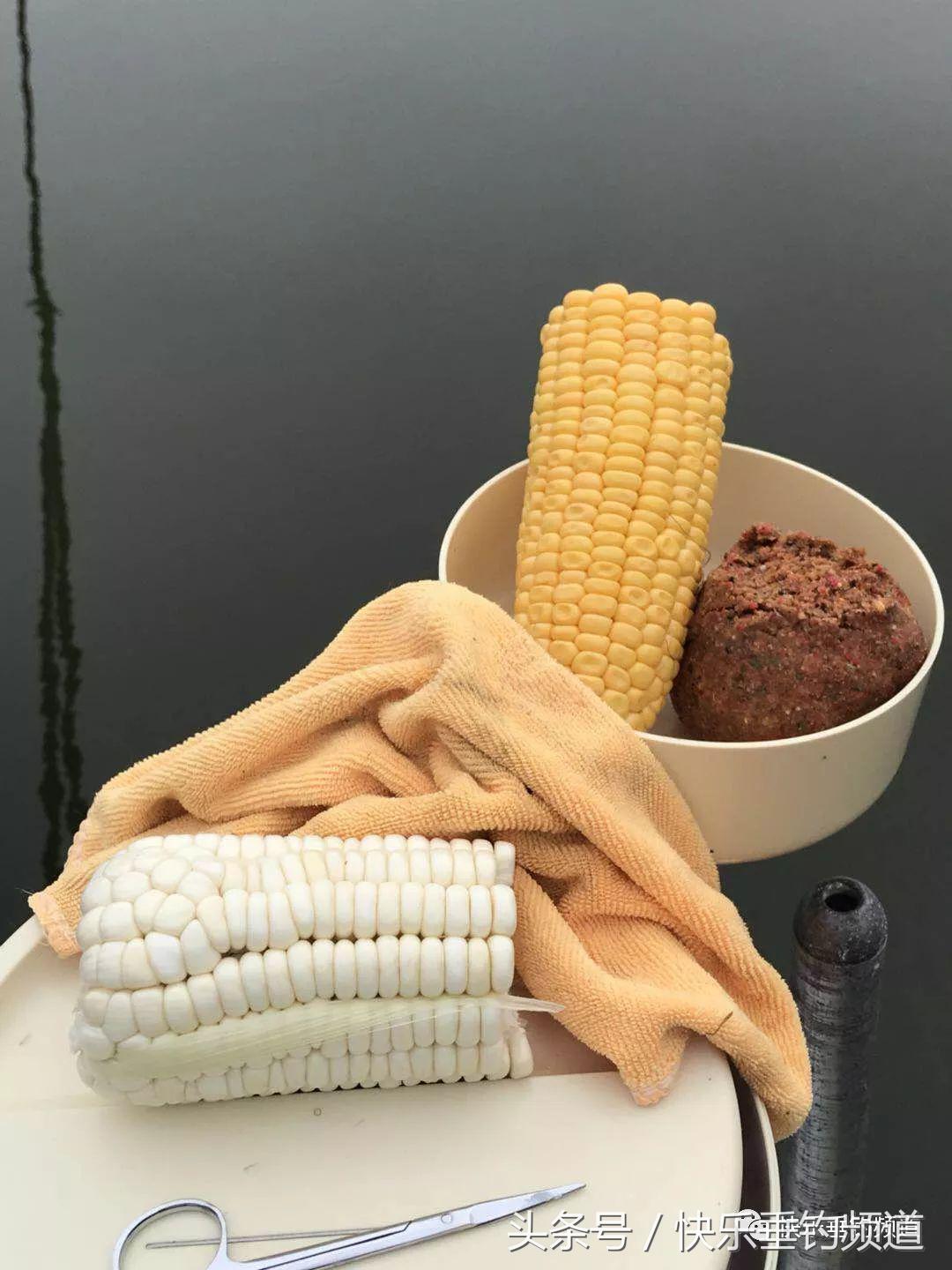 河蟹闹窝怎么钓鱼最好,河蟹闹窝怎么办