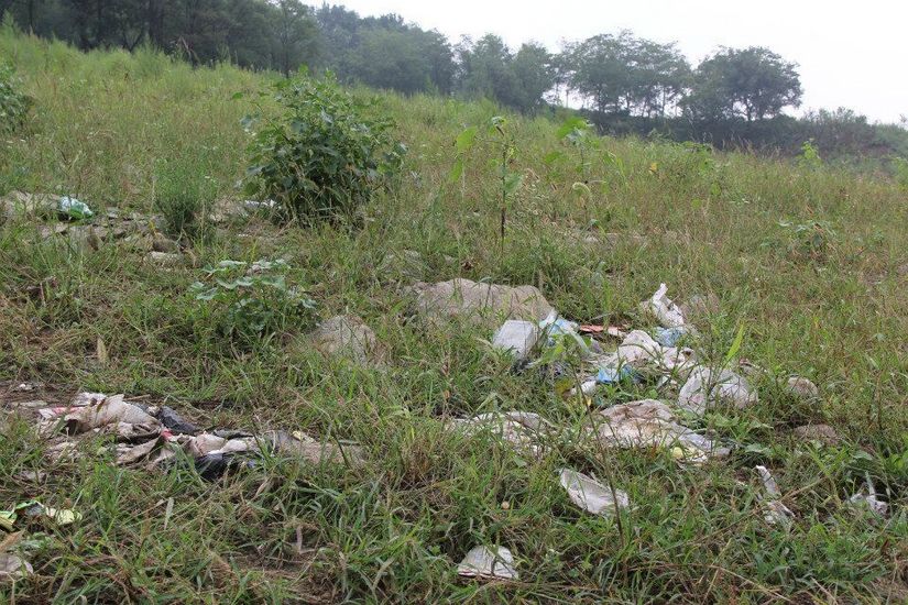 垃圾的烦恼,垃圾带来的烦恼