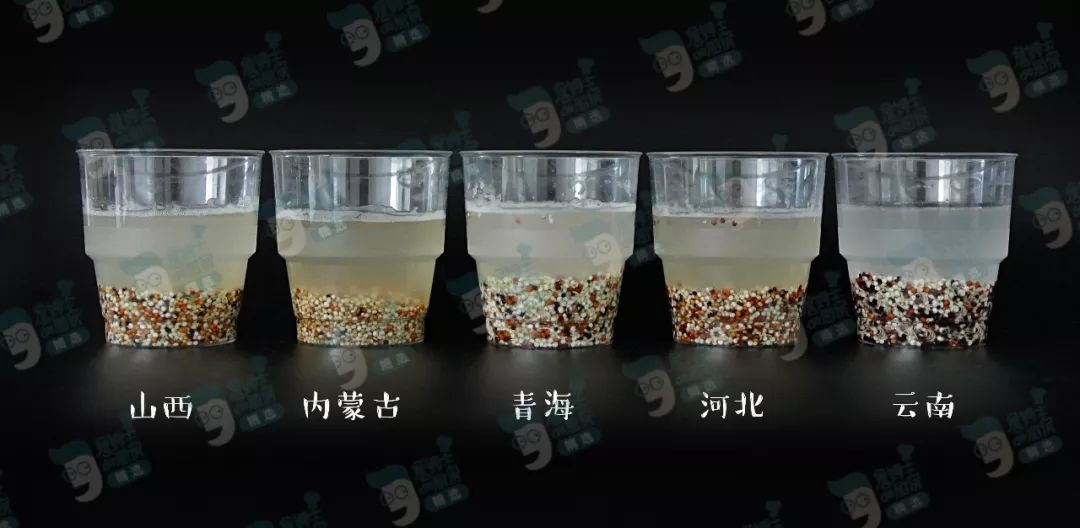 藜麦——碧昂斯靠它瘦了50斤的超级食物！｜双11砍价大优惠