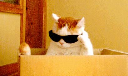 用了这么多年才知道电饭锅还能洗,用了2年电饭锅有膜