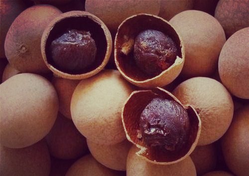 孕妇可以吃龙眼吗相关推荐,孕妇为什么不能吃龙眼水果