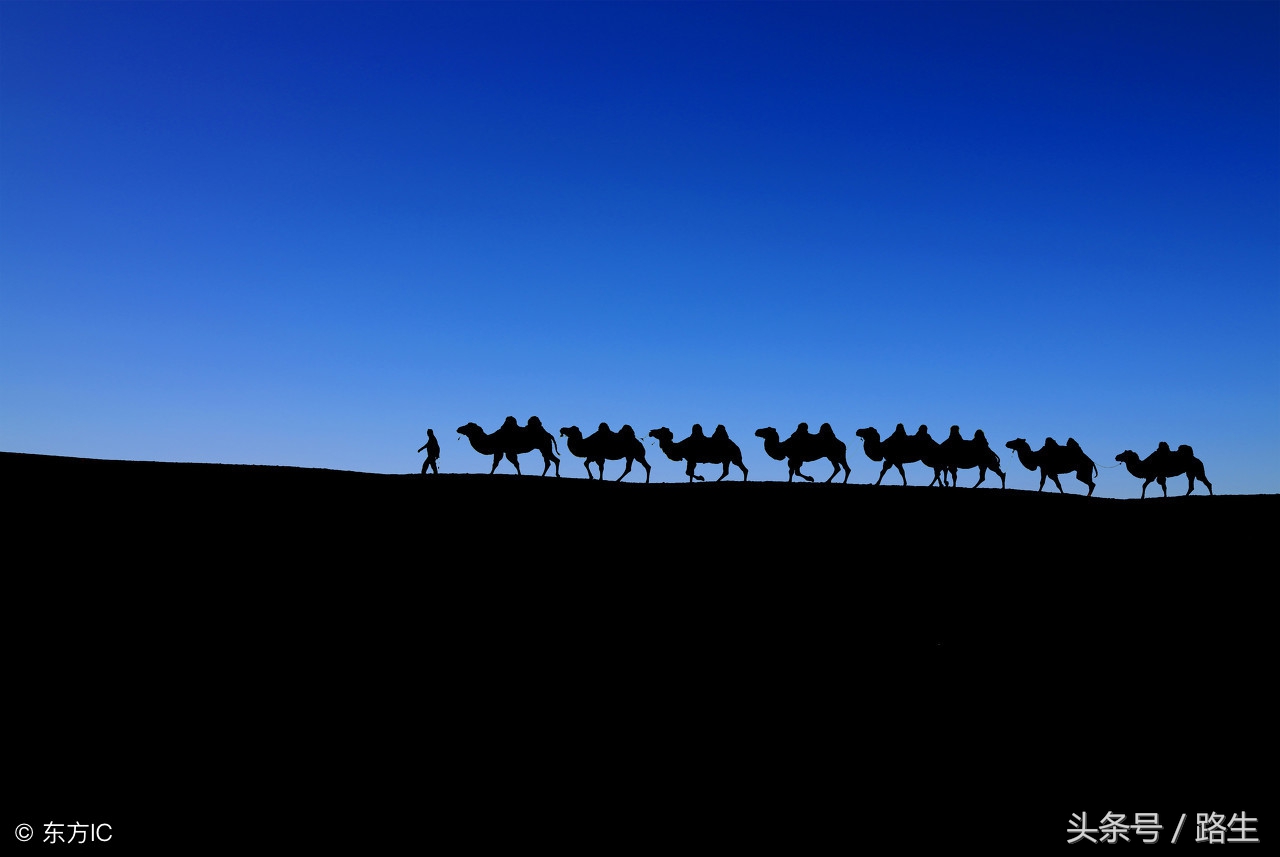 *疆新**此县是全国面积第二大县,汉代曾分属两个风俗完全不同的小国