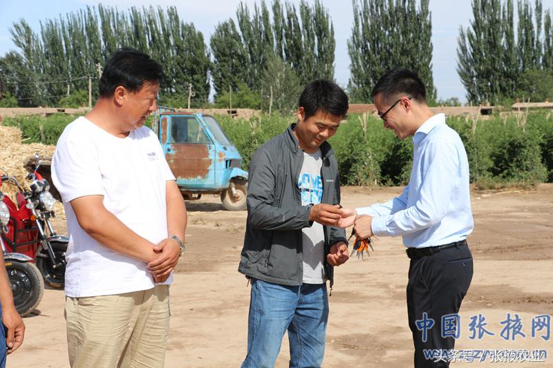 百e国际香港,百e国际平台