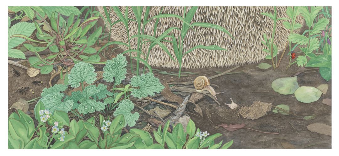 绘本之美——2018中国优秀儿童绘本原画艺术巡展