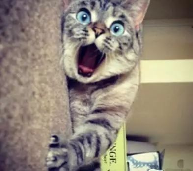 鎱堟邯鐕冩皵缂磋垂,鎱堟邯鐕冩皵鎬庝箞鏀惰垂