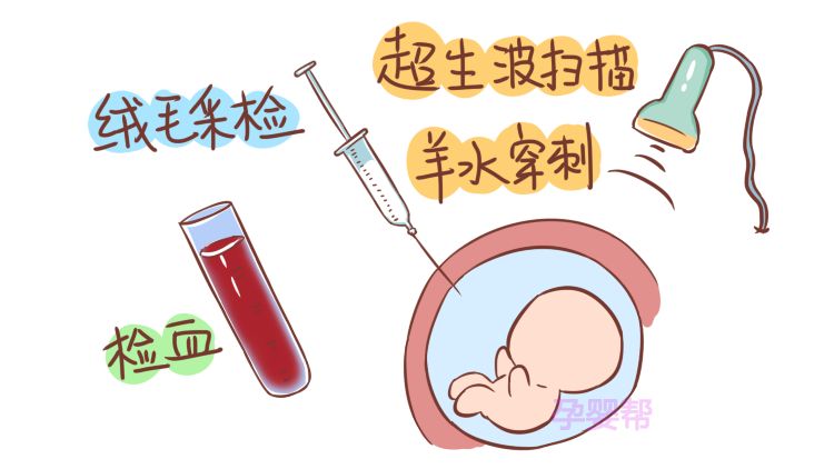 原来胎儿是男是女，在这时就已经确定了！