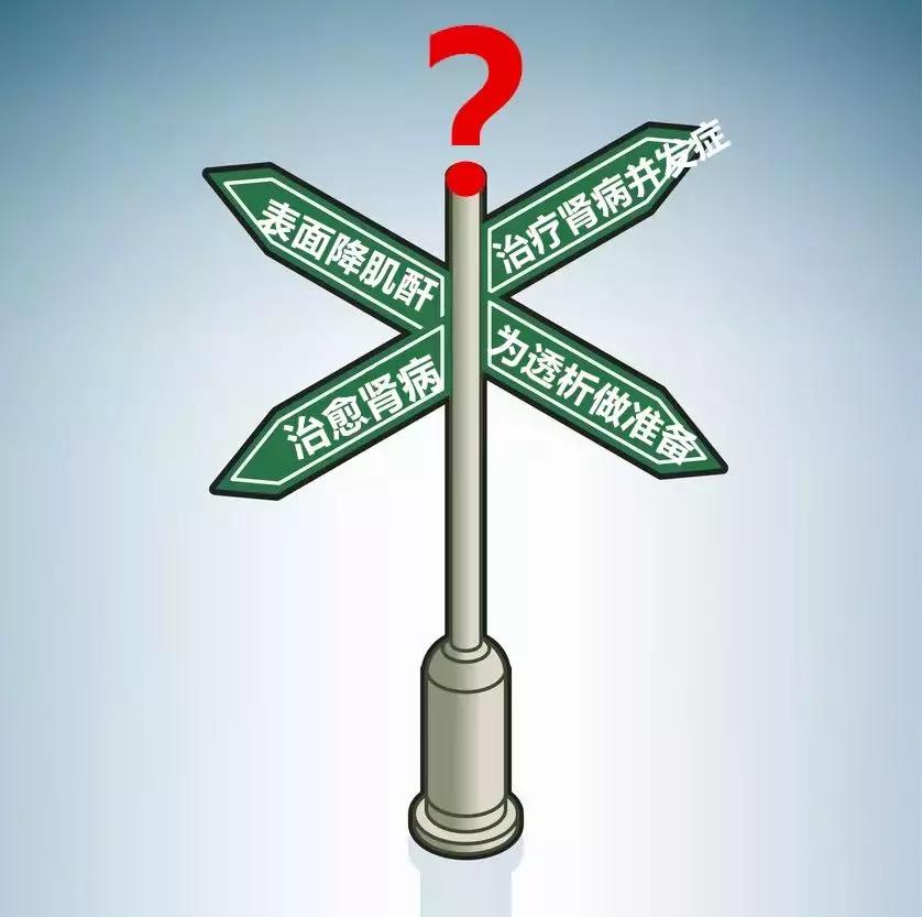 iga肾病快速降肌酐的药,得了肾病肌酐300能吃降肌酐药吗