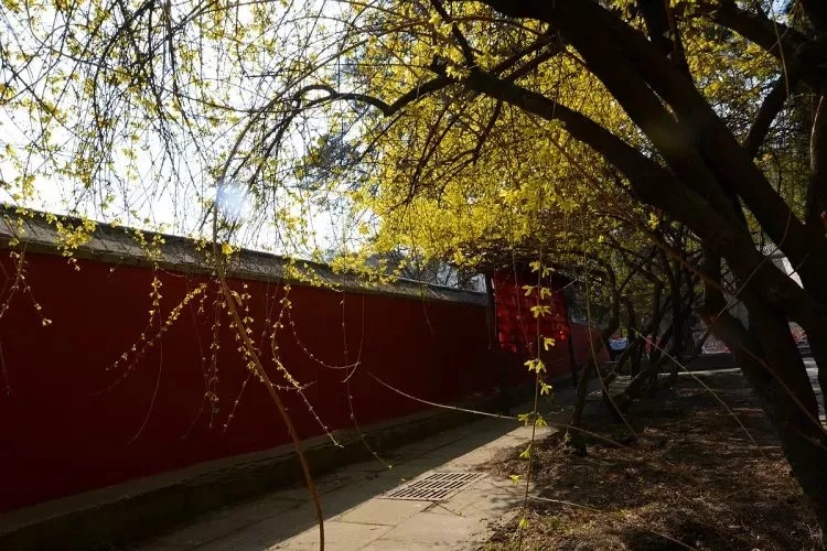 怎么看待七情六欲,何为七情六欲