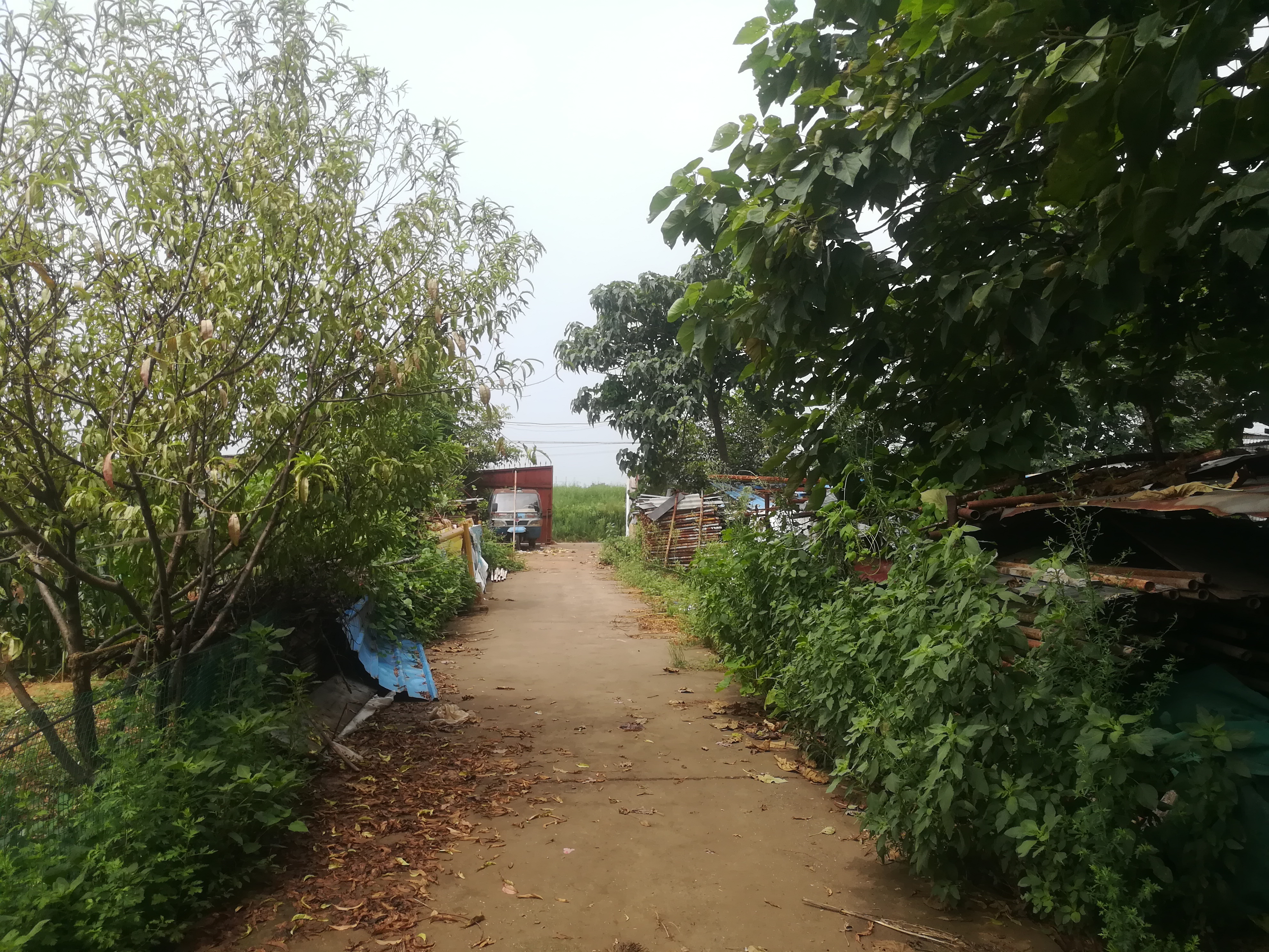 怎么看待七情六欲,何为七情六欲