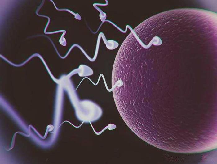 只有正常的精子才能和卵子结合吗,精子与卵子结合后精子还存在吗