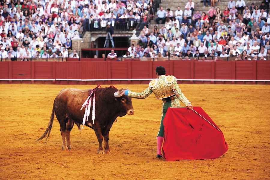 塞维利亚：与激情共舞的红裙“玫瑰”