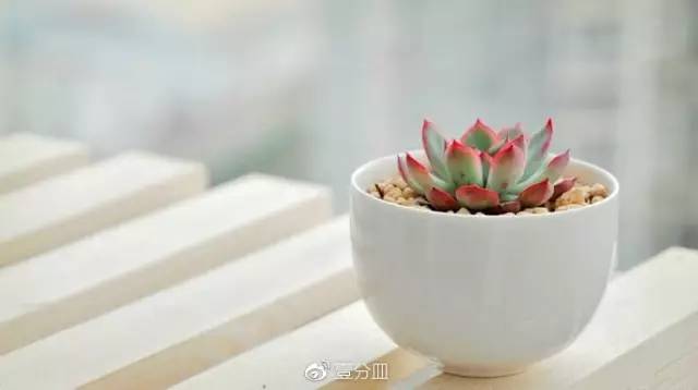 滚蛋吧，黑腐君！深度解析黑腐成因和解决之道