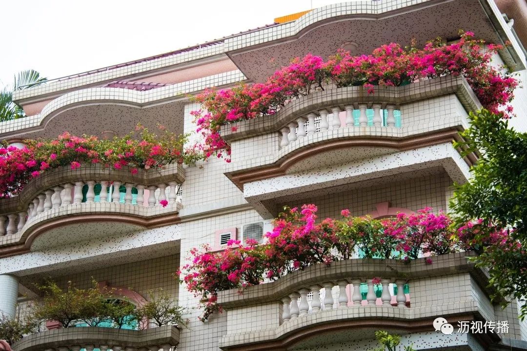 最美庭院评选,寻找最漂亮的花园小院