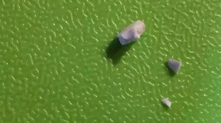 飞机餐吃出苍蝇怎么赔偿,飞机餐吃了食物中毒怎么索赔