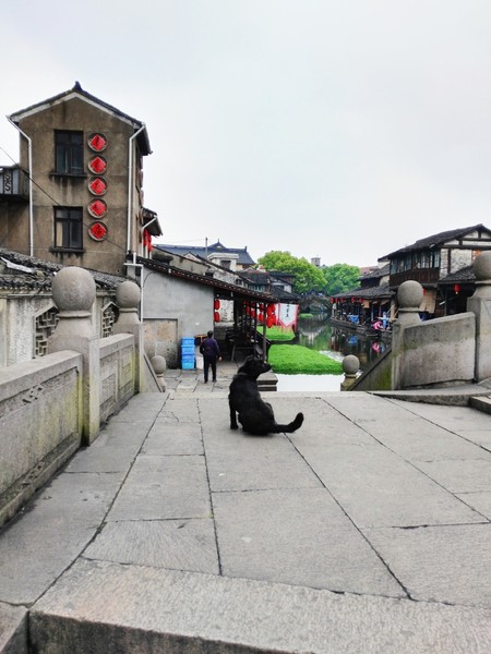 绍兴湖面上的桥,绍兴越城的桥