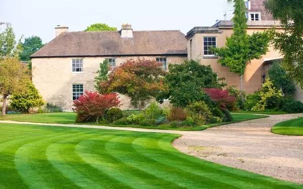 草坪该如何养护管理,楼顶花园草坪选择哪种比较好