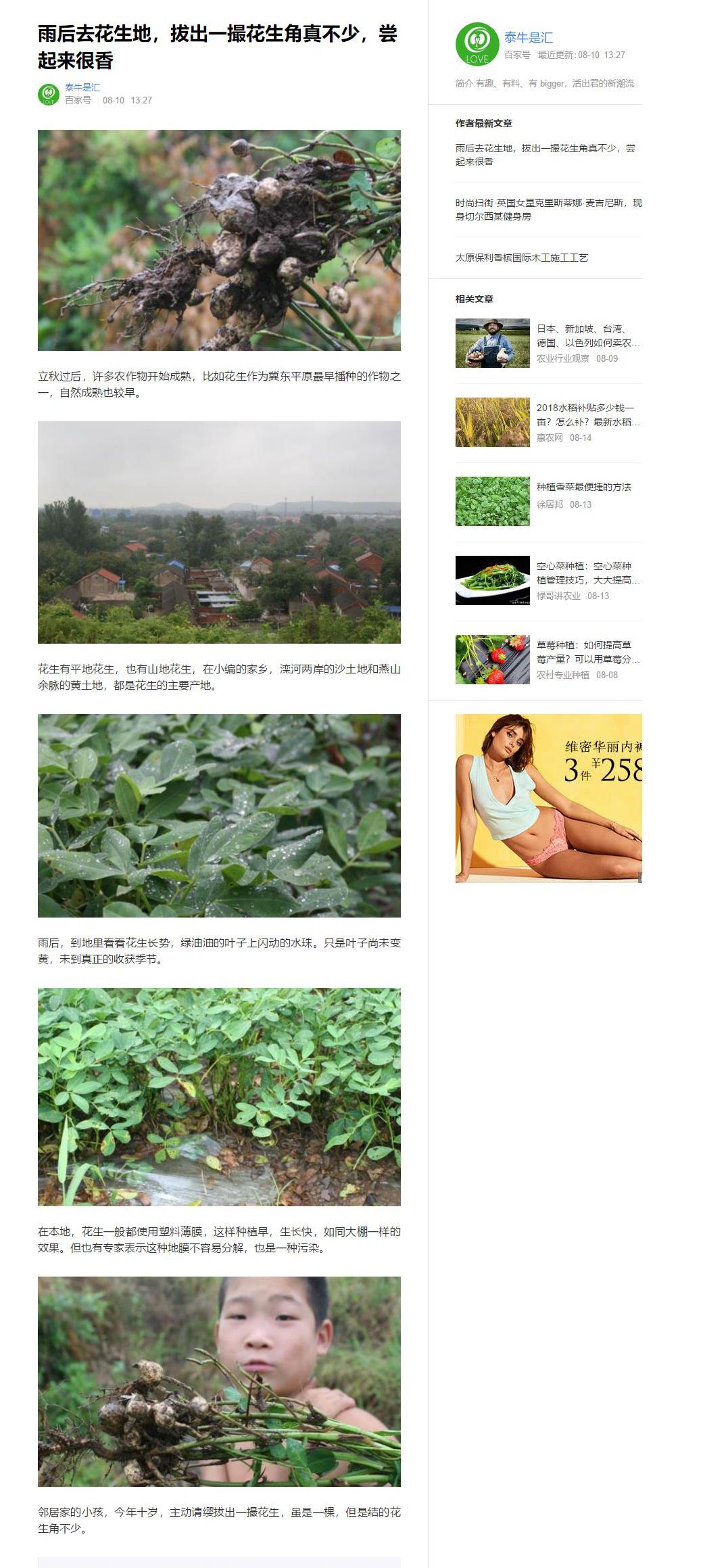 头条号原创被抄袭,头条号作品被抄袭