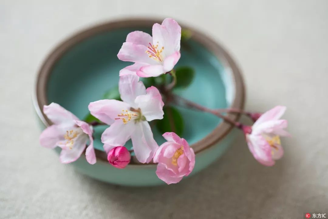 中国传统文化常识和民俗别称,中国民俗别称大全