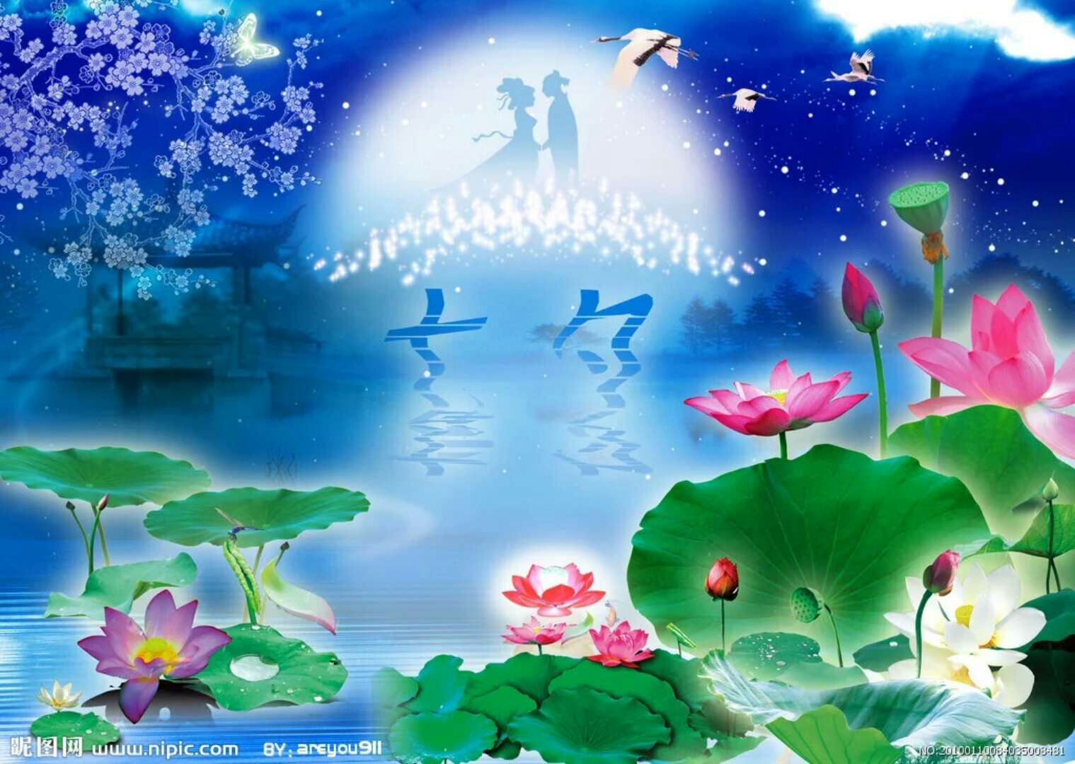 枫林诗苑诗词集,枫林诗苑经典