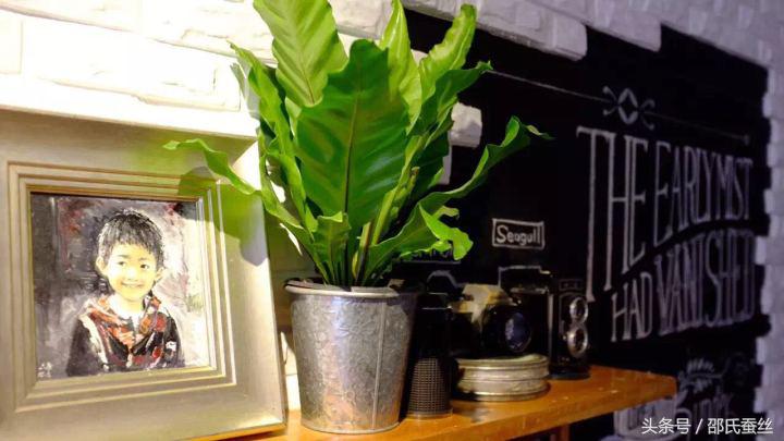 有哪些价格不贵格调又高的家装,高逼格整体家装推荐