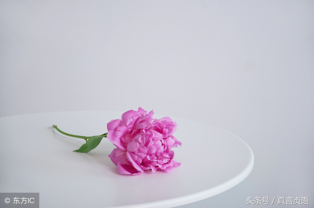 大道至简致良知知行合一,大道至简淳朴自然心得