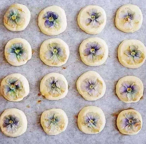 经典花卉品种推荐,现在最适合养的花卉品种