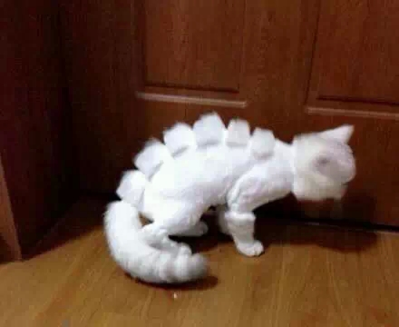 笑笑笑死我了,笑笑笑死人