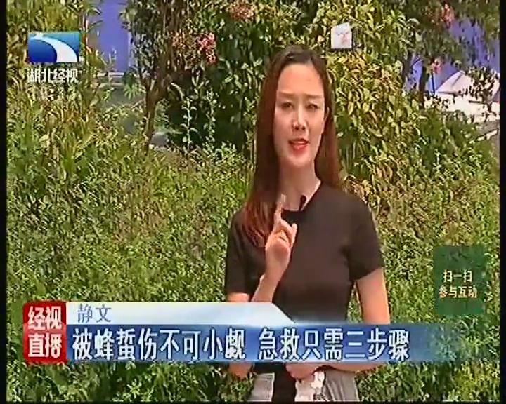 蜂蜇伤的急救与护理ppt,幼儿户外活动被蜜蜂蜇伤怎么处理