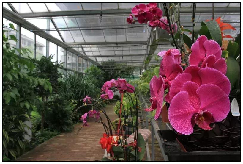 再见合肥师范完整视频,合肥二中校园